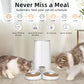 Winterprep automatic pet feeder