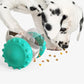 Dog interactive toy