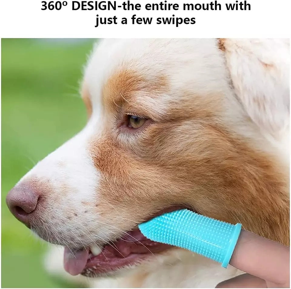 Dog toothbrush