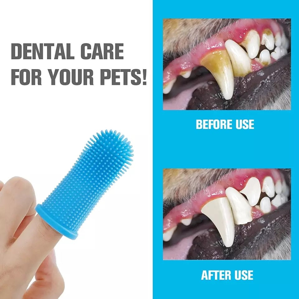 Dog toothbrush